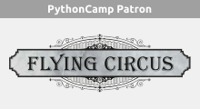 Fyling Circus Logo